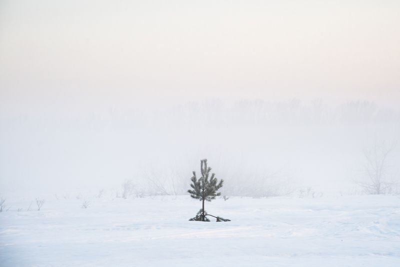 Весенний минимализм фото превью