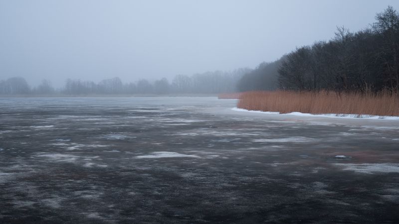 калининград, куршская_коса, озеро * фото превью