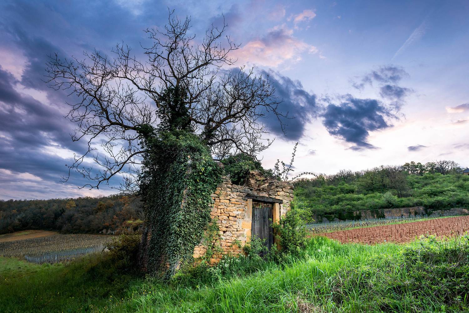 , Gasiorowski Wladyslaw