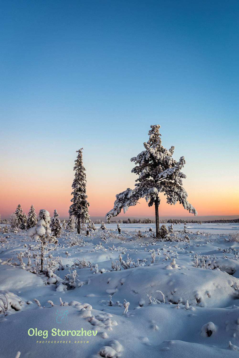 зима, холода, мороз, тундра, закат, янао, надым, пейзаж, Сторожев Олег