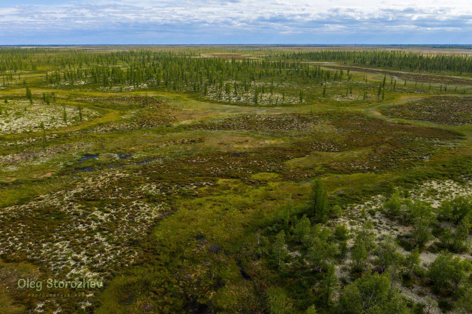 тундра, лес, болото, небо, янао, надым, Сторожев Олег