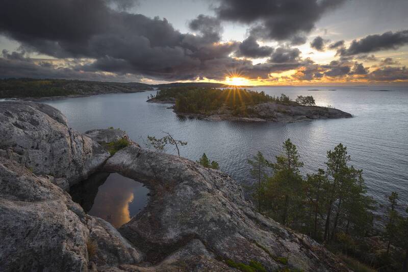 Ладожский головастик фото превью