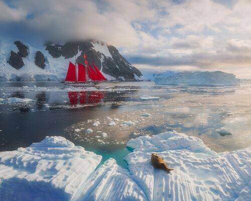 Antarctica