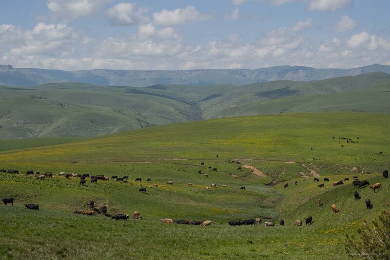 Вспоминая лето... фото превью