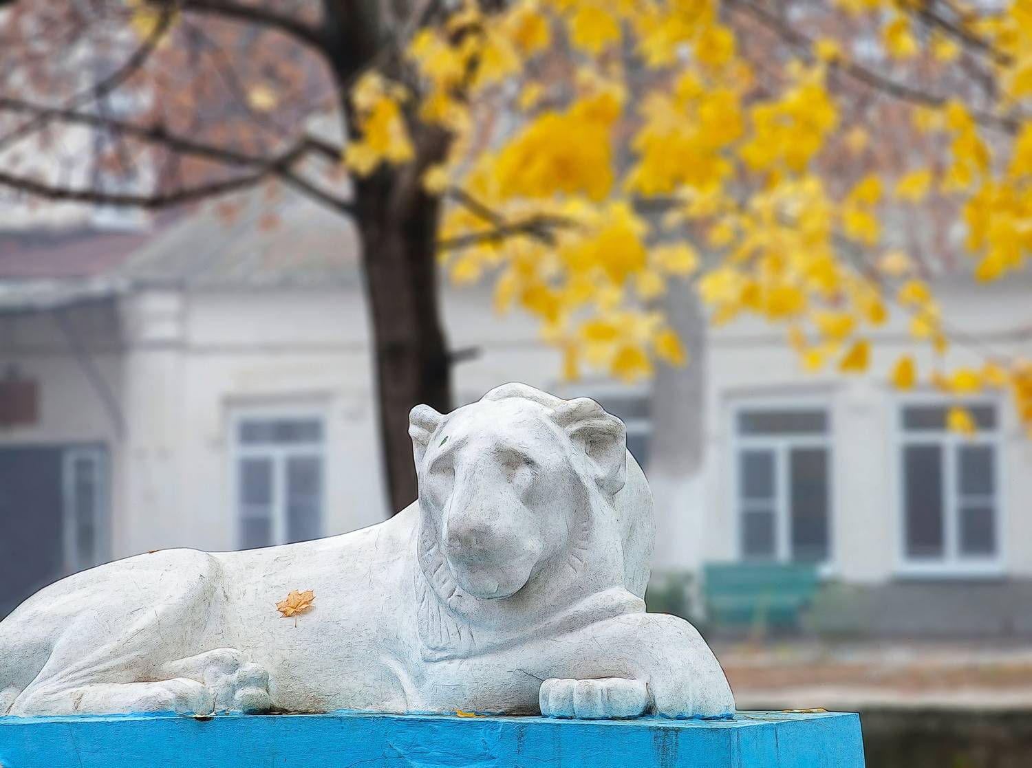 , Андрей Петросян