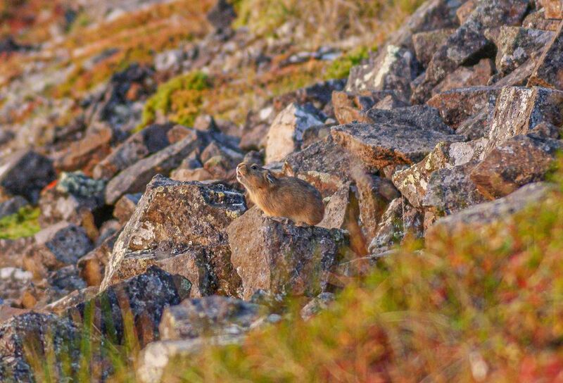 Встречая утро \\\