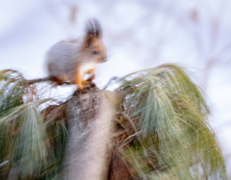 Испорченный кадр, не стал выбрасывать... фото превью