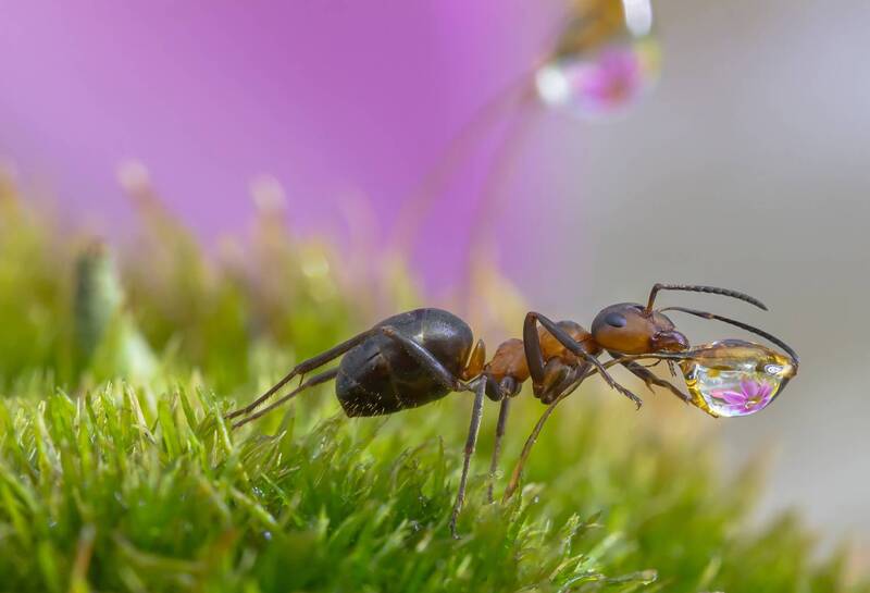 Райское наслаждение фото превью