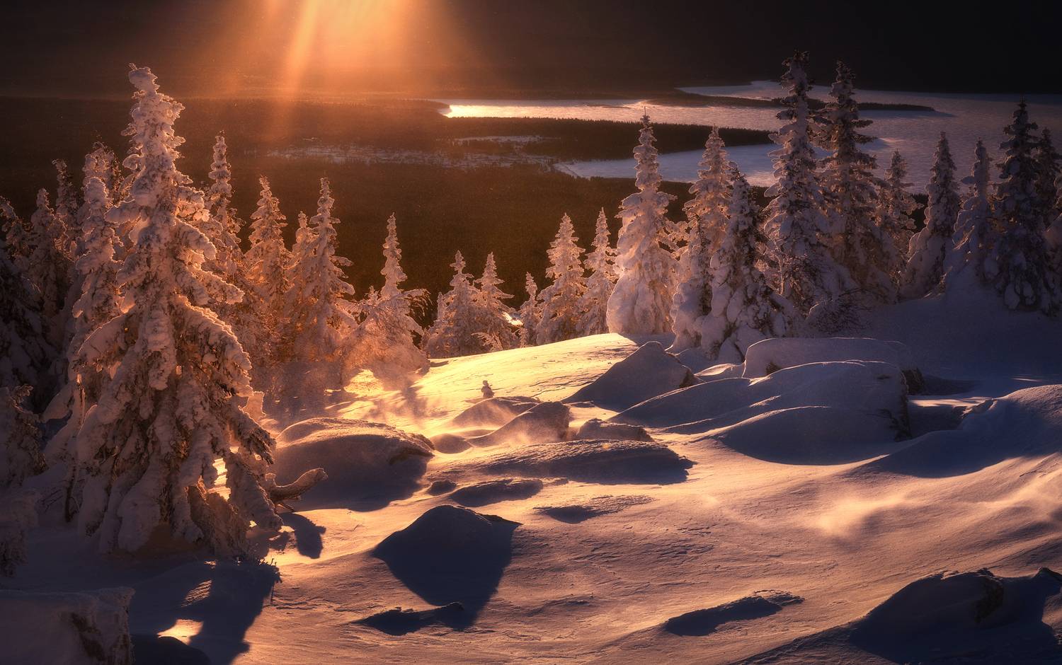 , Татьяна Бирюкова