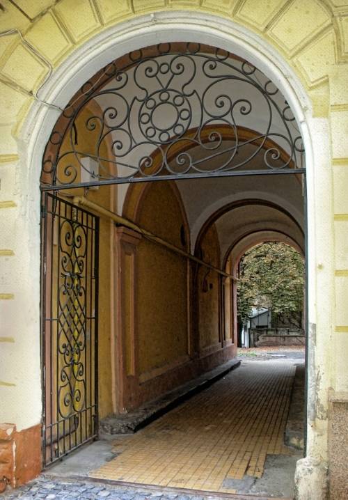 , Савоцкий Роман