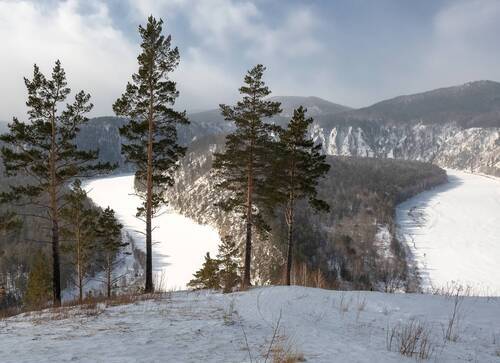 Сибирская весна
