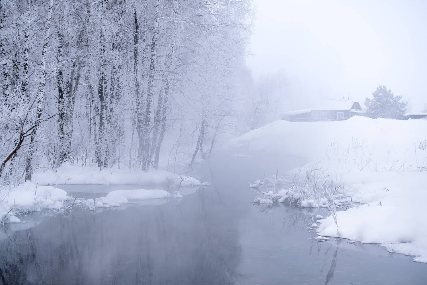 зима, алтайский край, winter, snow, Александра Тараскина