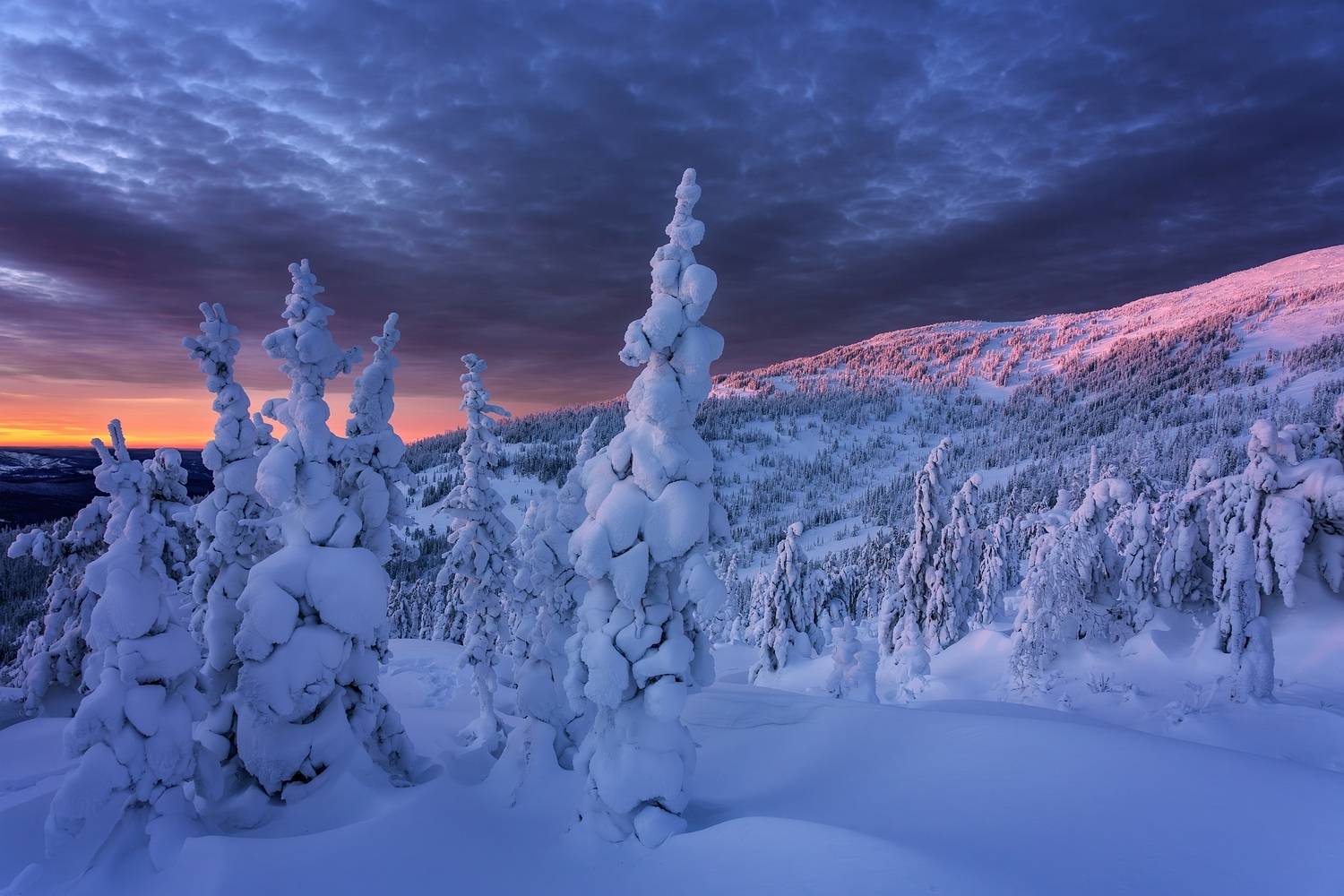 вечер, на, аргыджеке, Анатолич