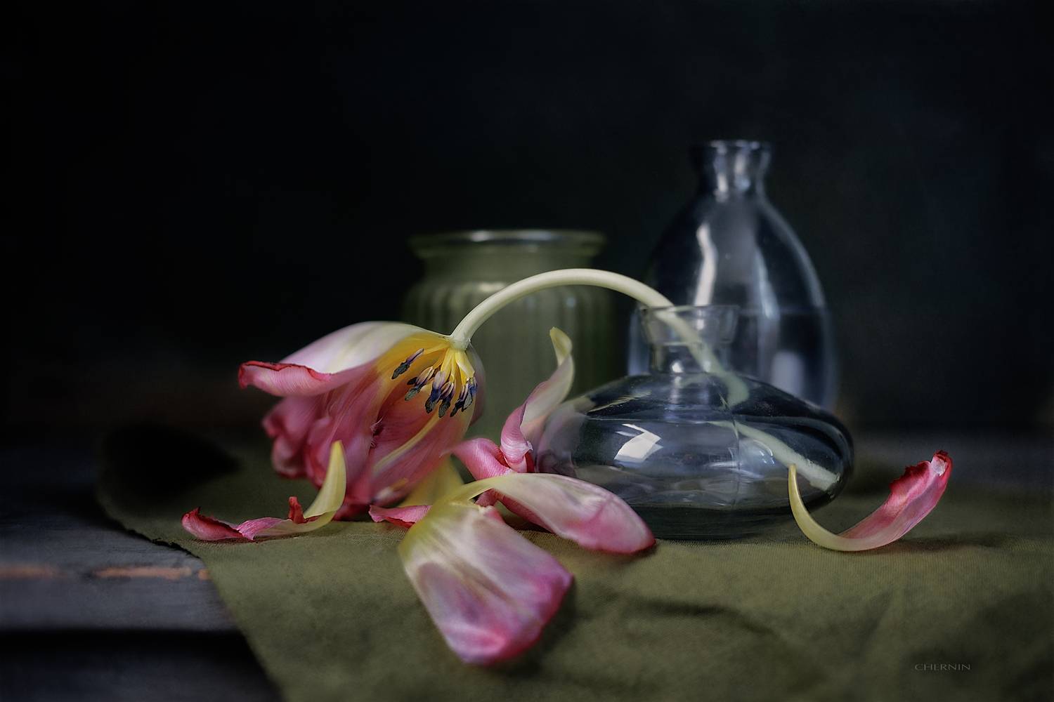 , Чернин Дмитрий