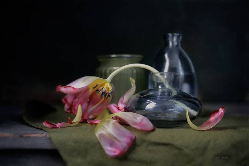 .... фото превью