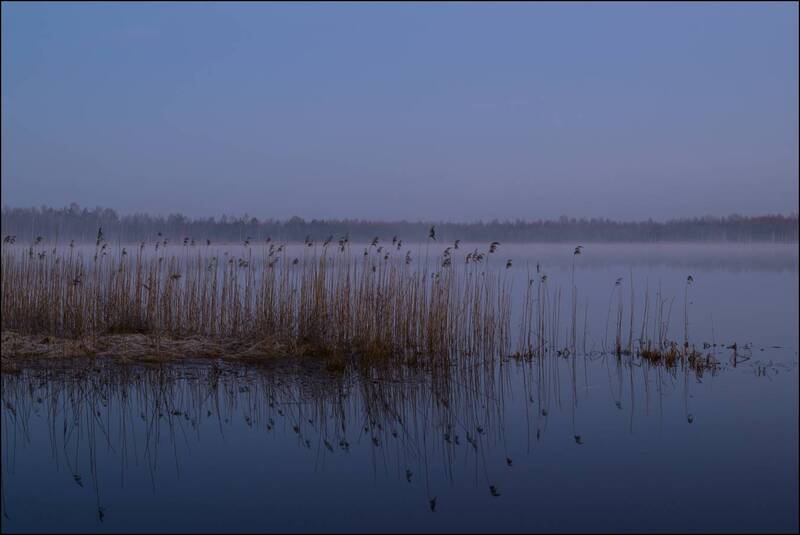 Весенний восход на торфяных болотах фото превью