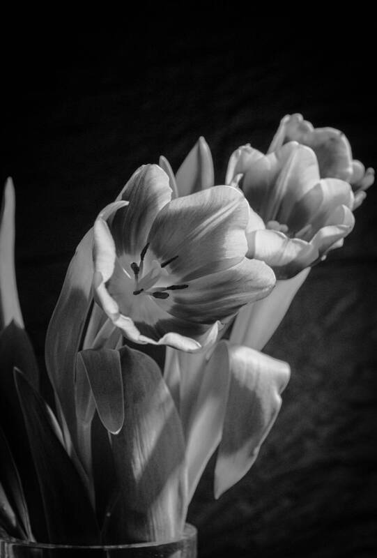 москва Москва фото превью