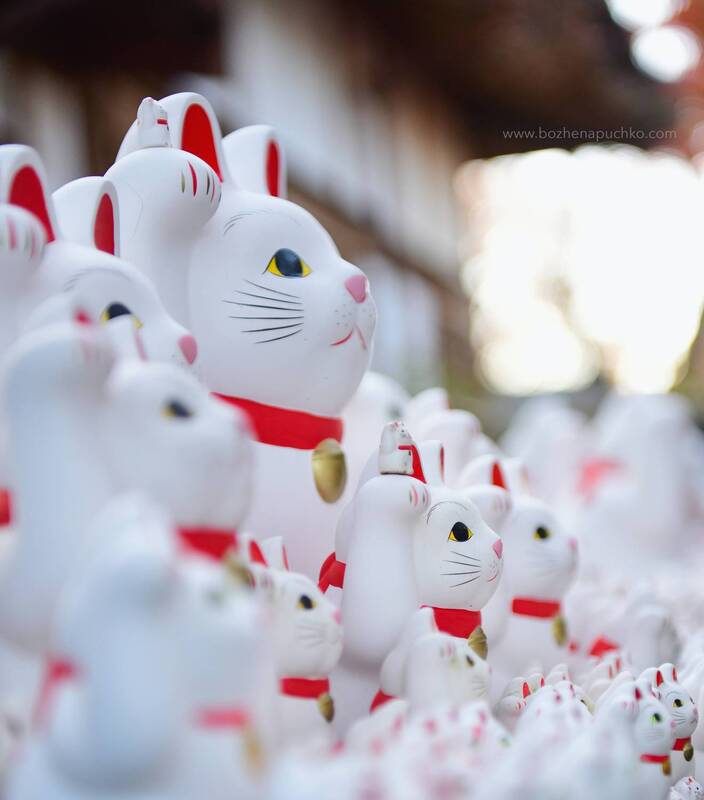 Maneki-Neko фото превью