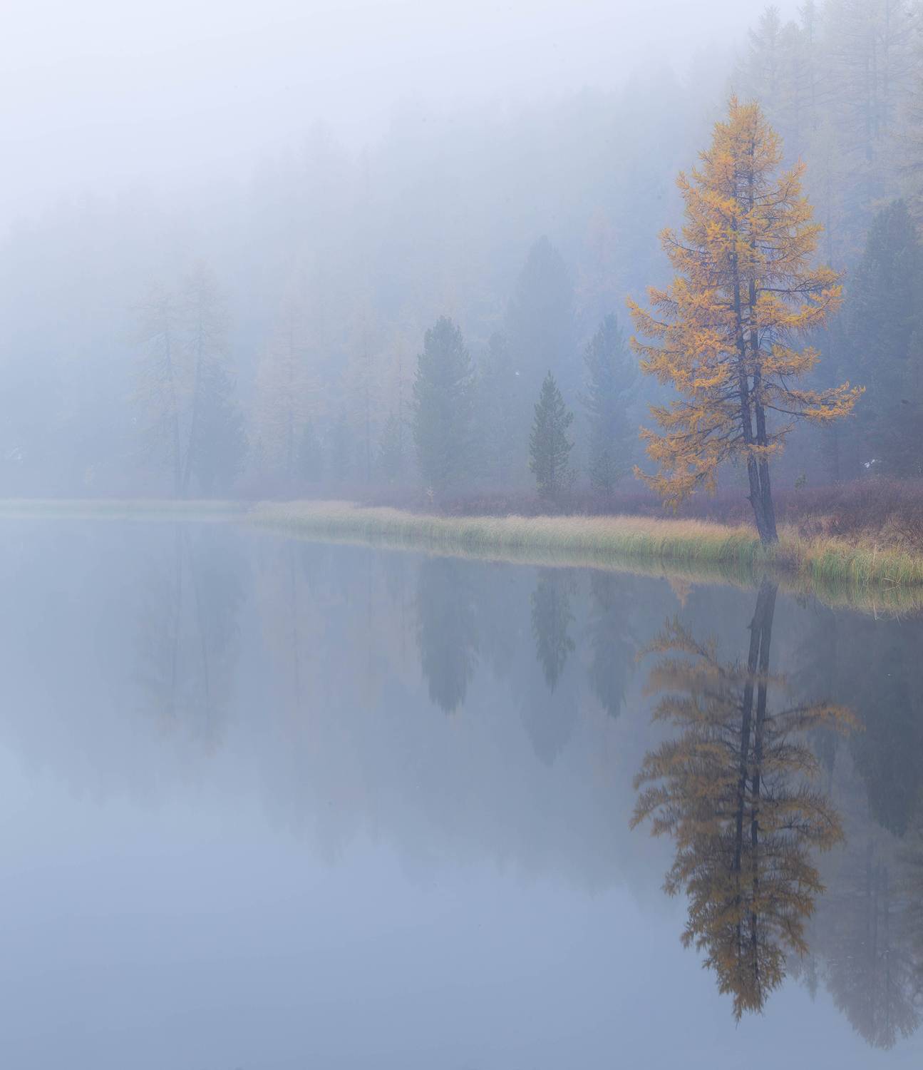 алтай, осень, киделю, природа, россия, рассвет, Павел Ващенков
