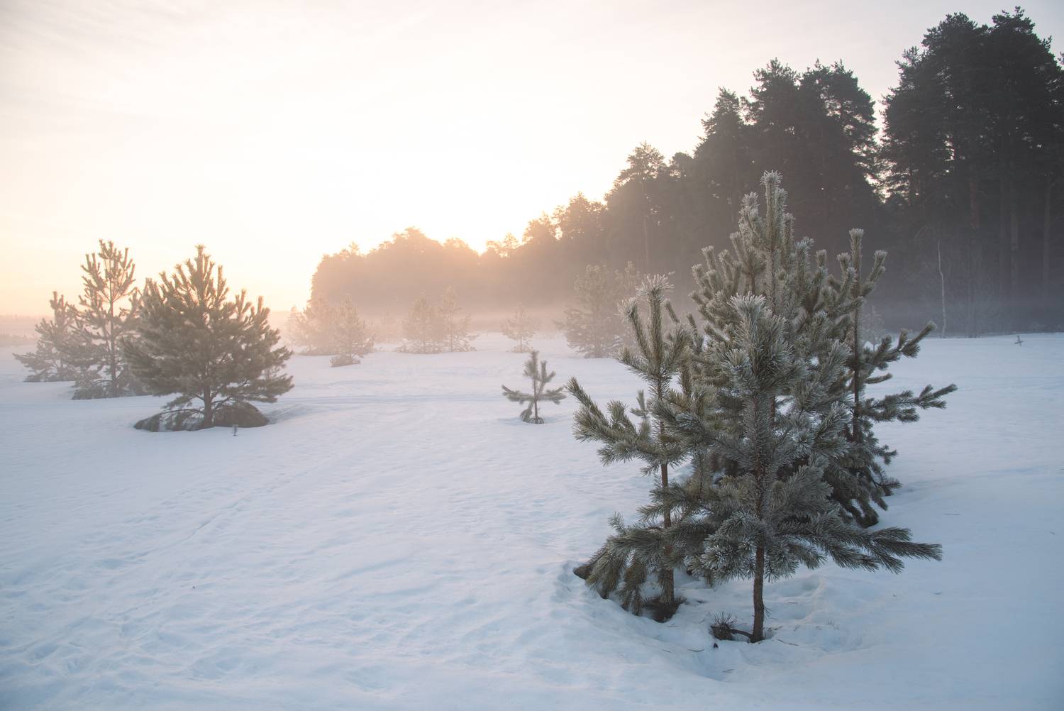 , Малыгин Андрей