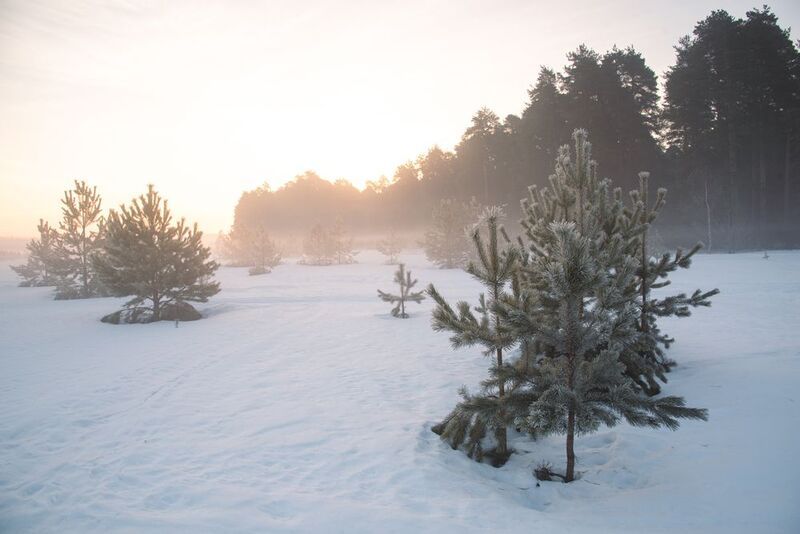 Через туман фото превью
