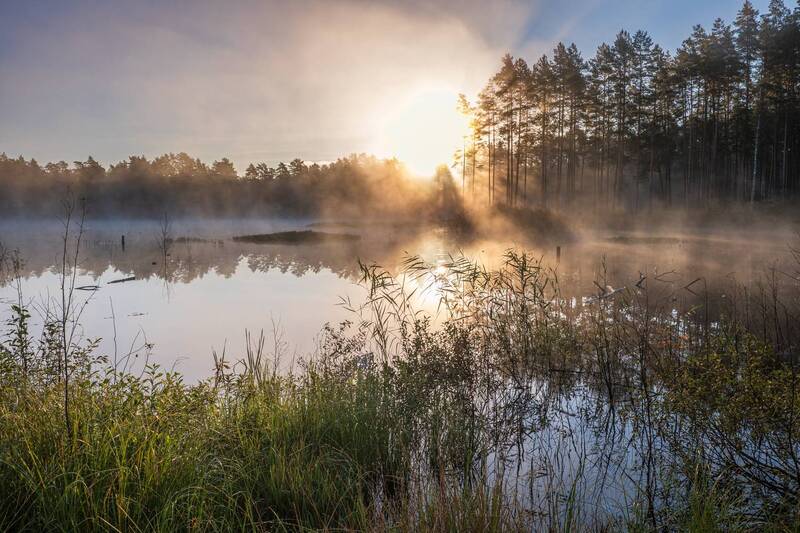 Туманное утро фото превью