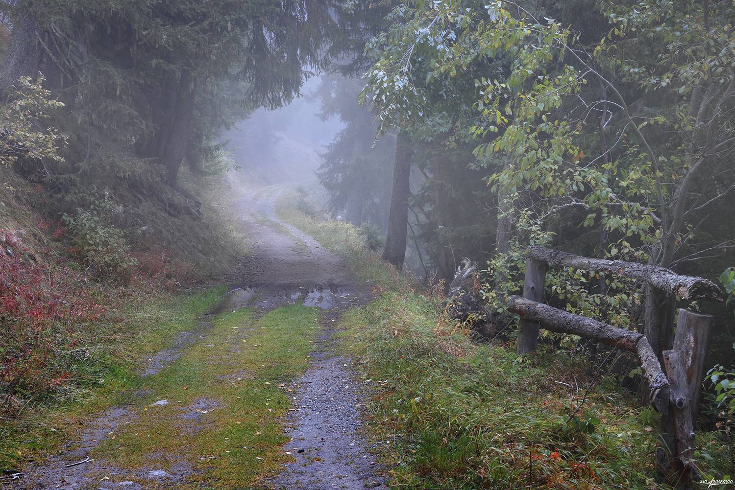 swiss, Матвеев Николай