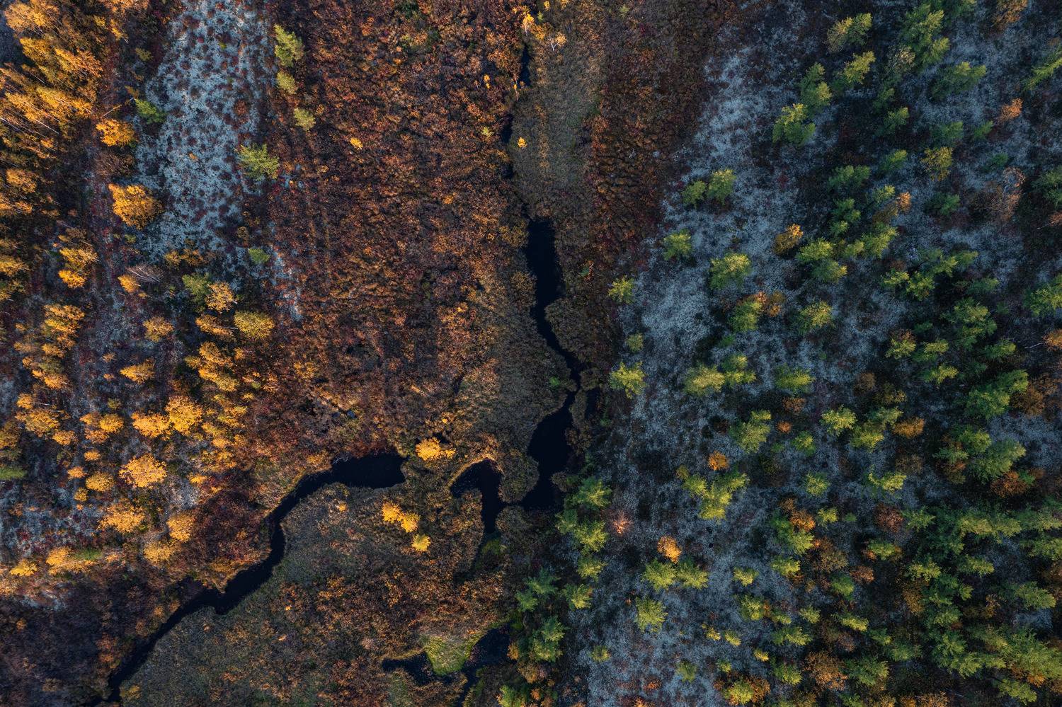 осень, лето, ручей, тундра, ямал, надым, полет, Сторожев Олег