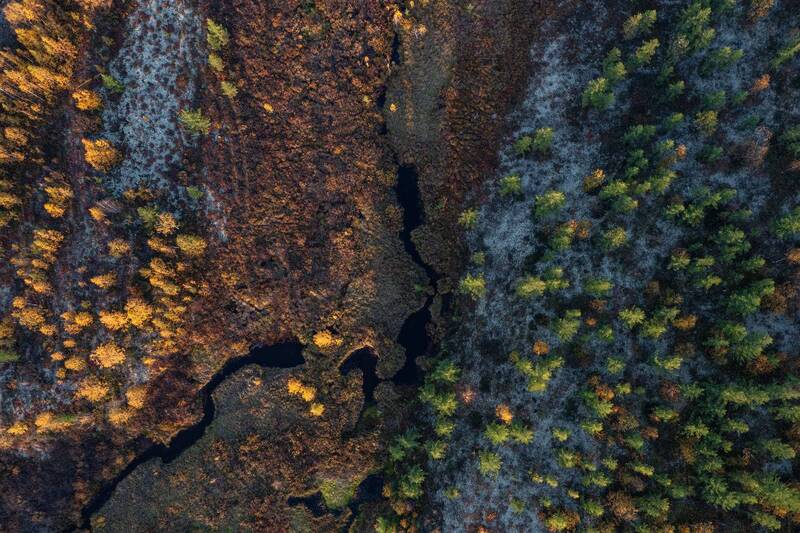 осень, лето, ручей, тундра, ямал, надым, полет Между осенью и летом фото превью