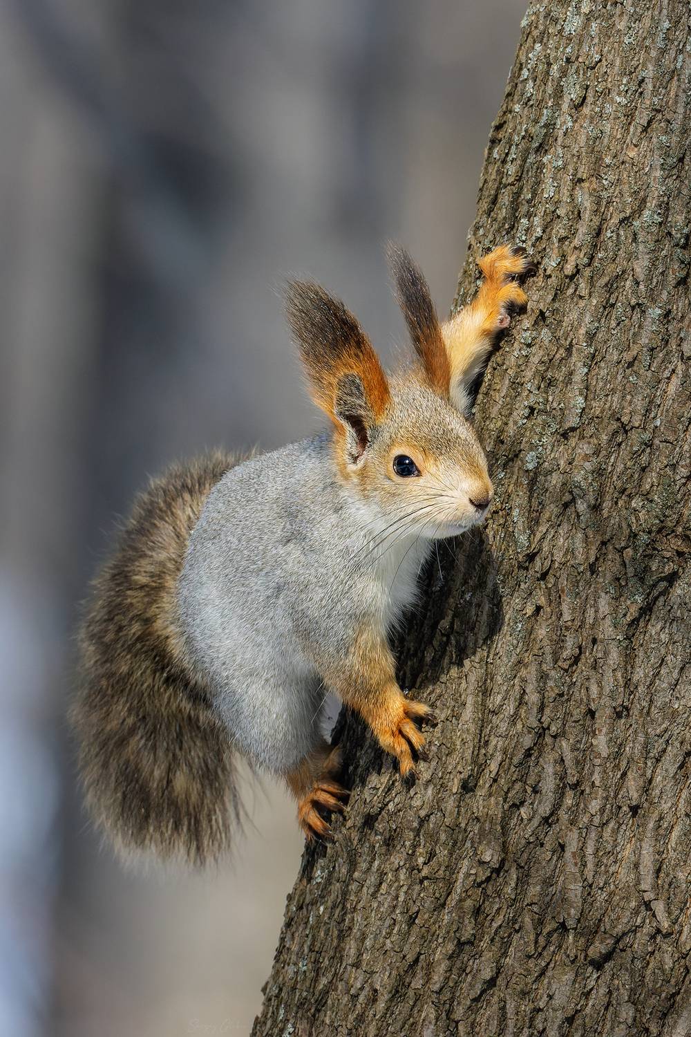 , Глебов Сергей
