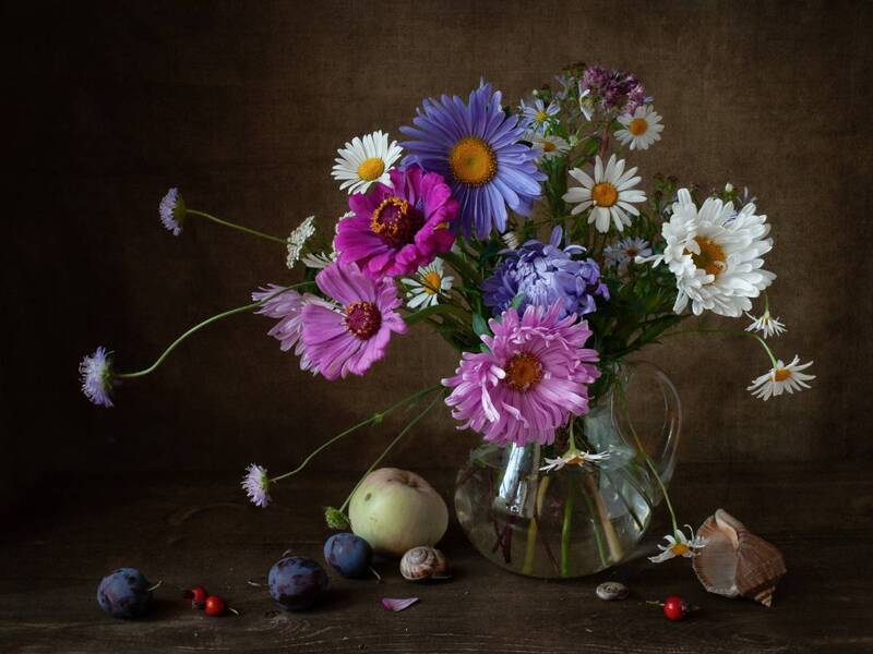 цветы, астры, букет, осень Астры фото превью