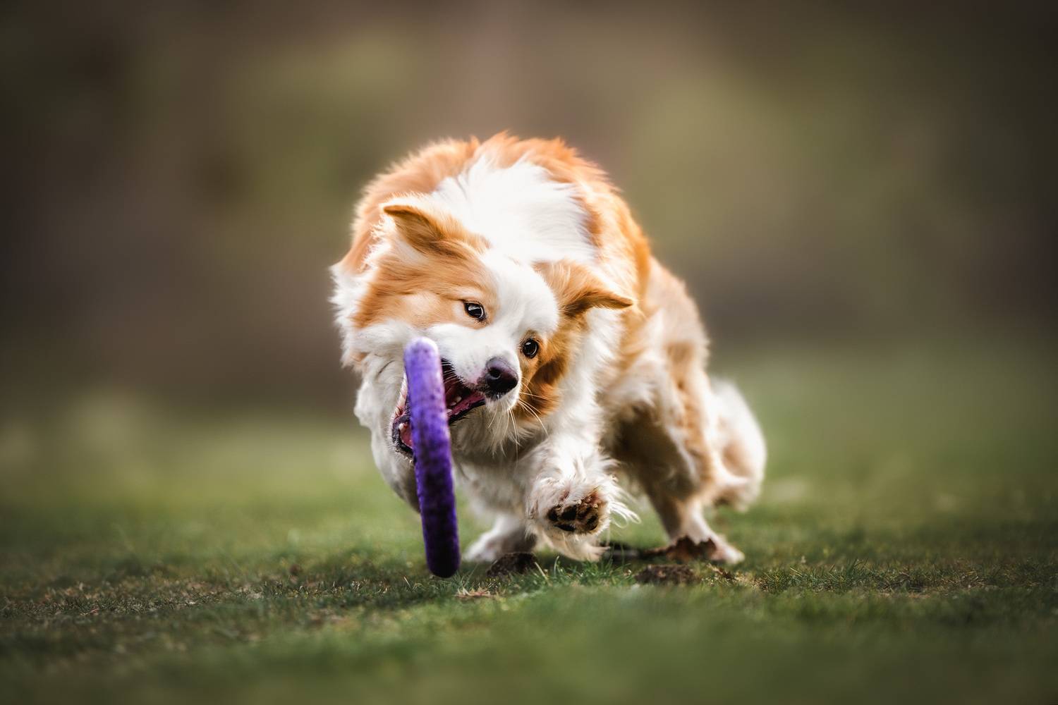 , Андрианова Ирина