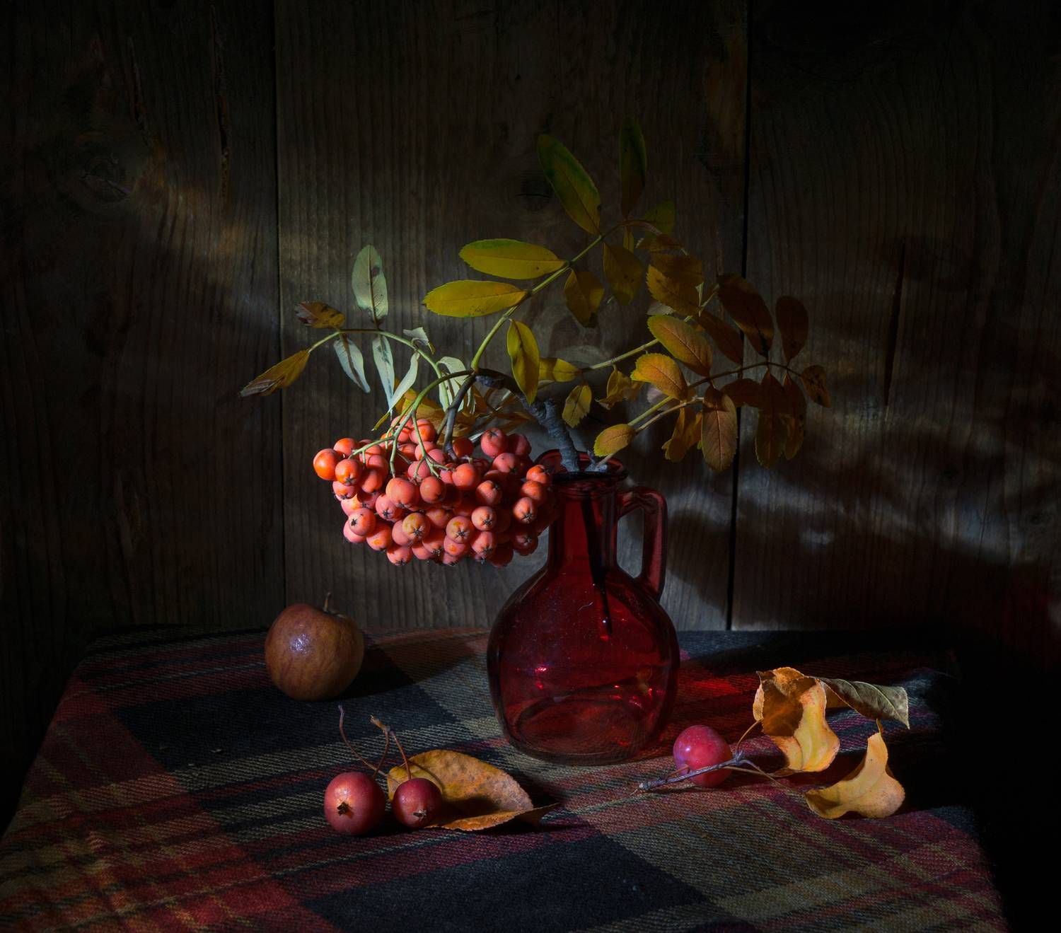 , Елена Павлюк