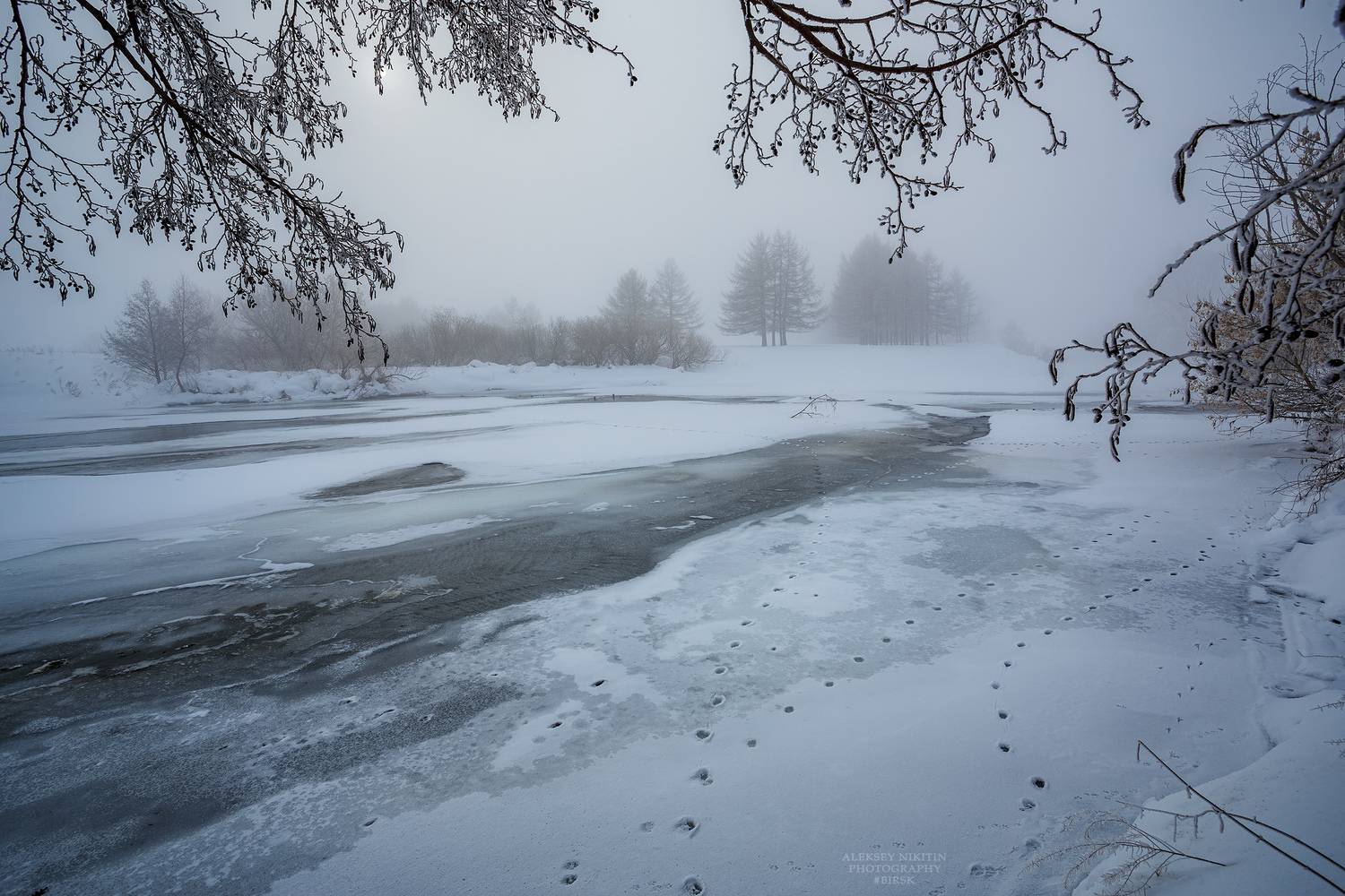 , Никитин Алексей