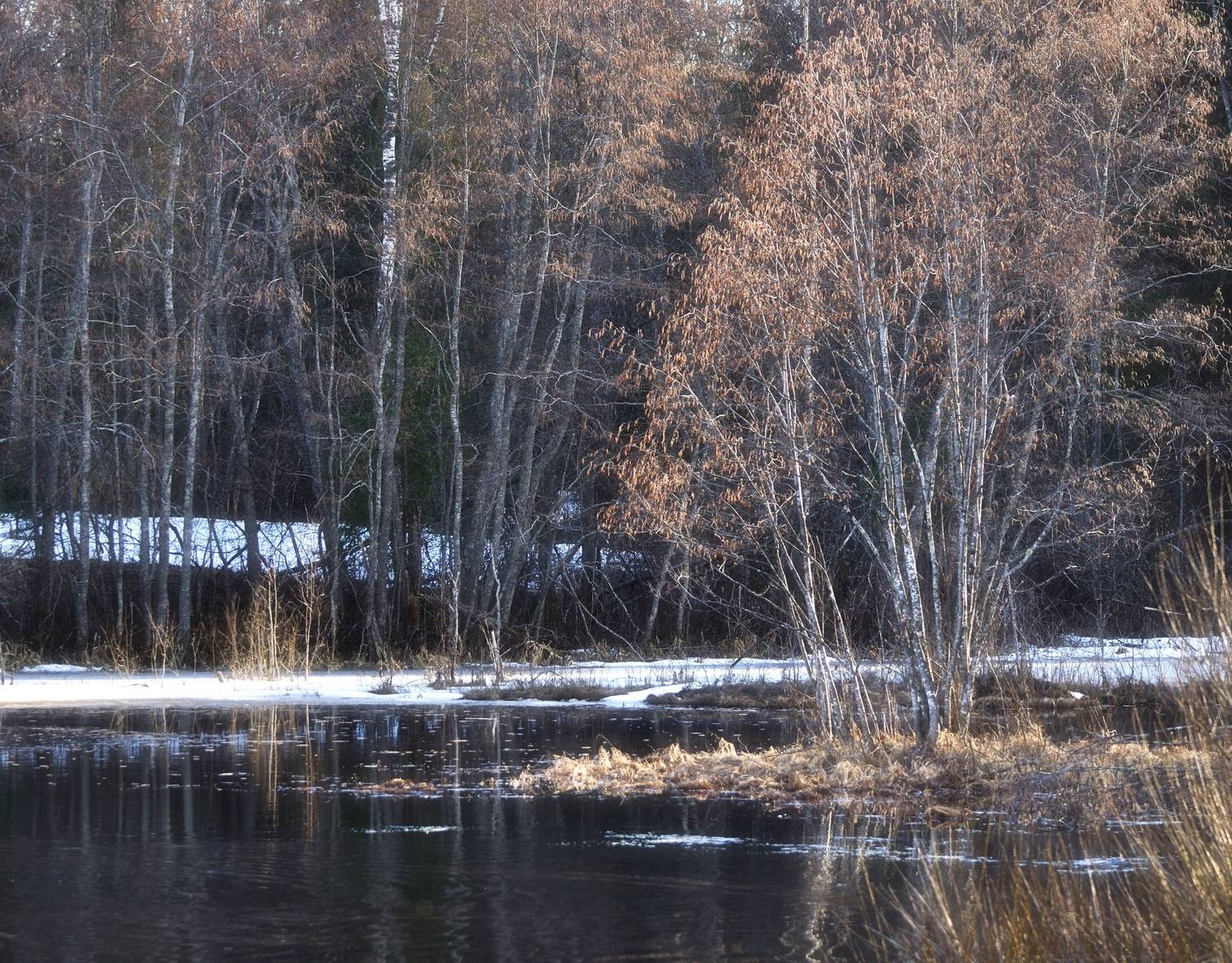 , Андрей Куликов