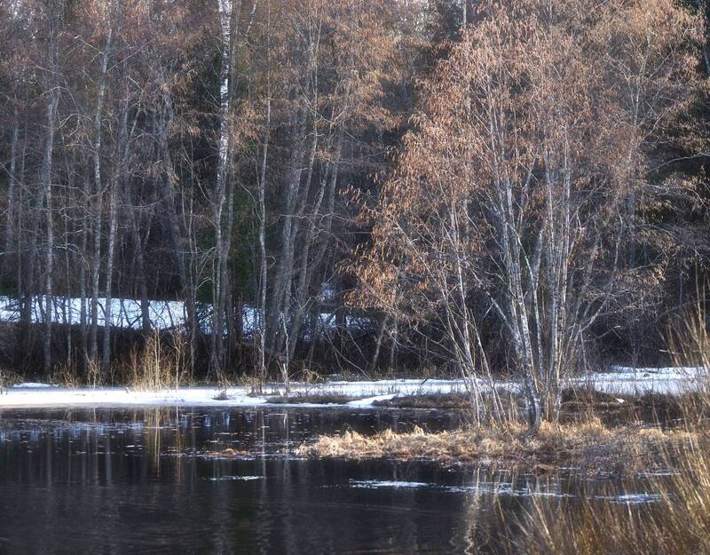 Весенняя. фото превью
