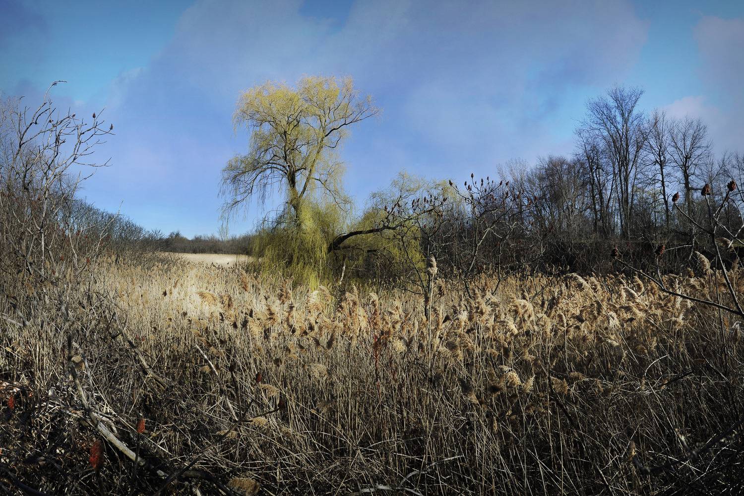 , Ходос Илья