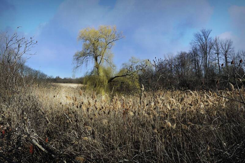 Весна идёт фото превью