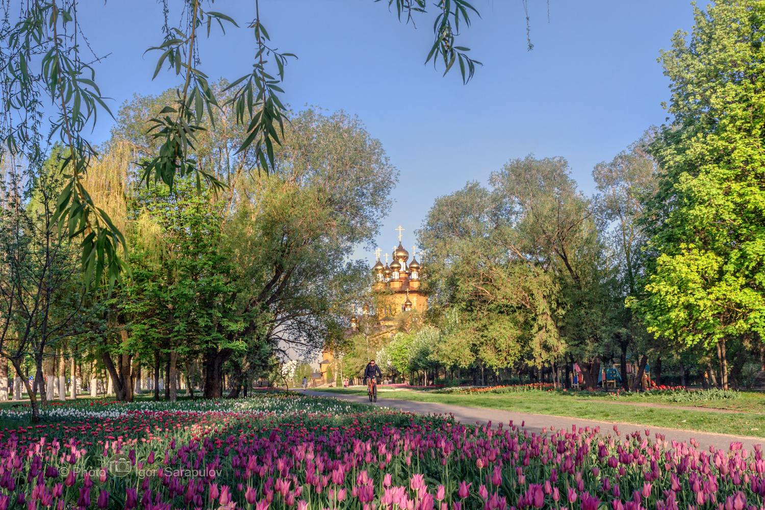 южный парк, церковь, цветы, цветущая весна, цветение, храм, тюльпаны, россия, купола, клумба, деревянный храм, городской пейзаж, городской парк, весна в городе, весна, весеннее утро, белгород, Сарапулов Игорь