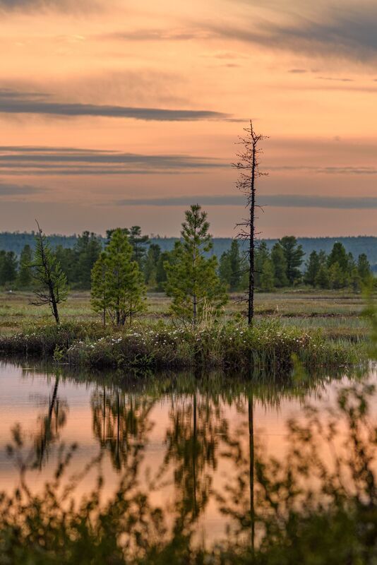 небо, закат, тундра, болото, вода, отражение, янао, надым, никон Штиль фото превью
