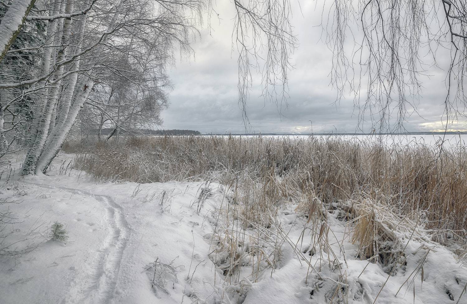 , Сергей Аникин