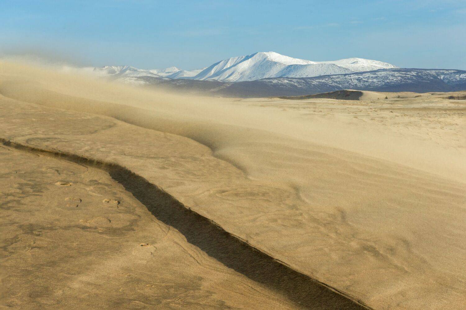 чарские пески, пустыня, Башкин Георгий