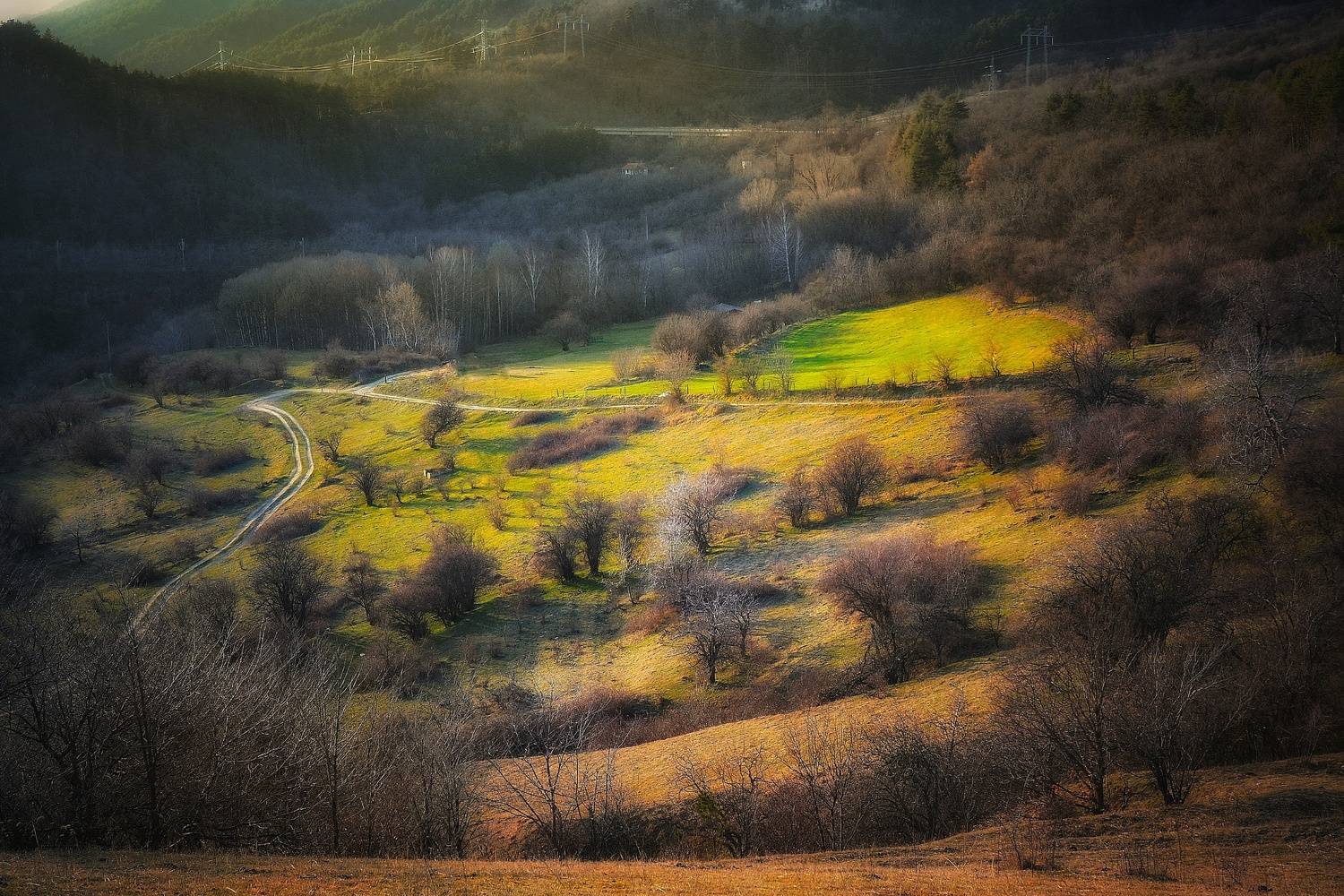 , Юлияна Стоянова