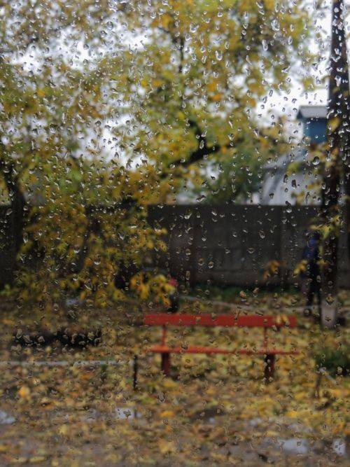 , Савоцкий Роман