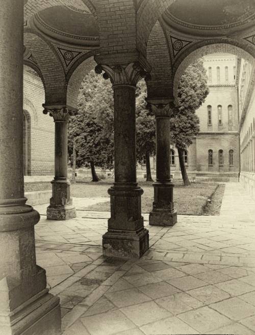 , Савоцкий Роман