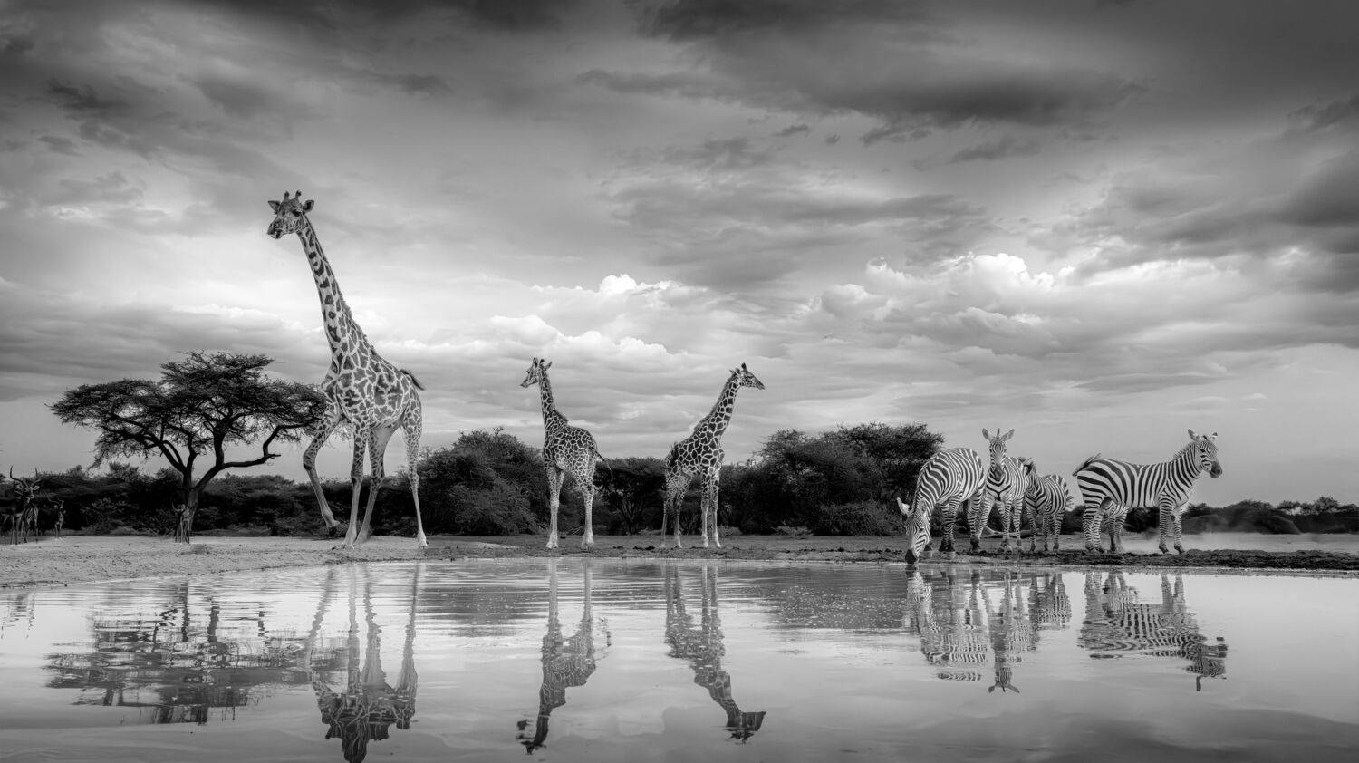 Кения, Сулоев Алексей