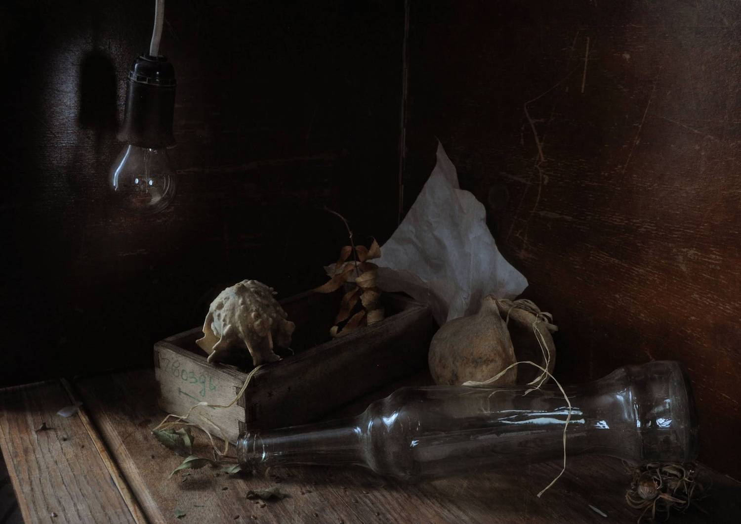 , Ирина Данилова