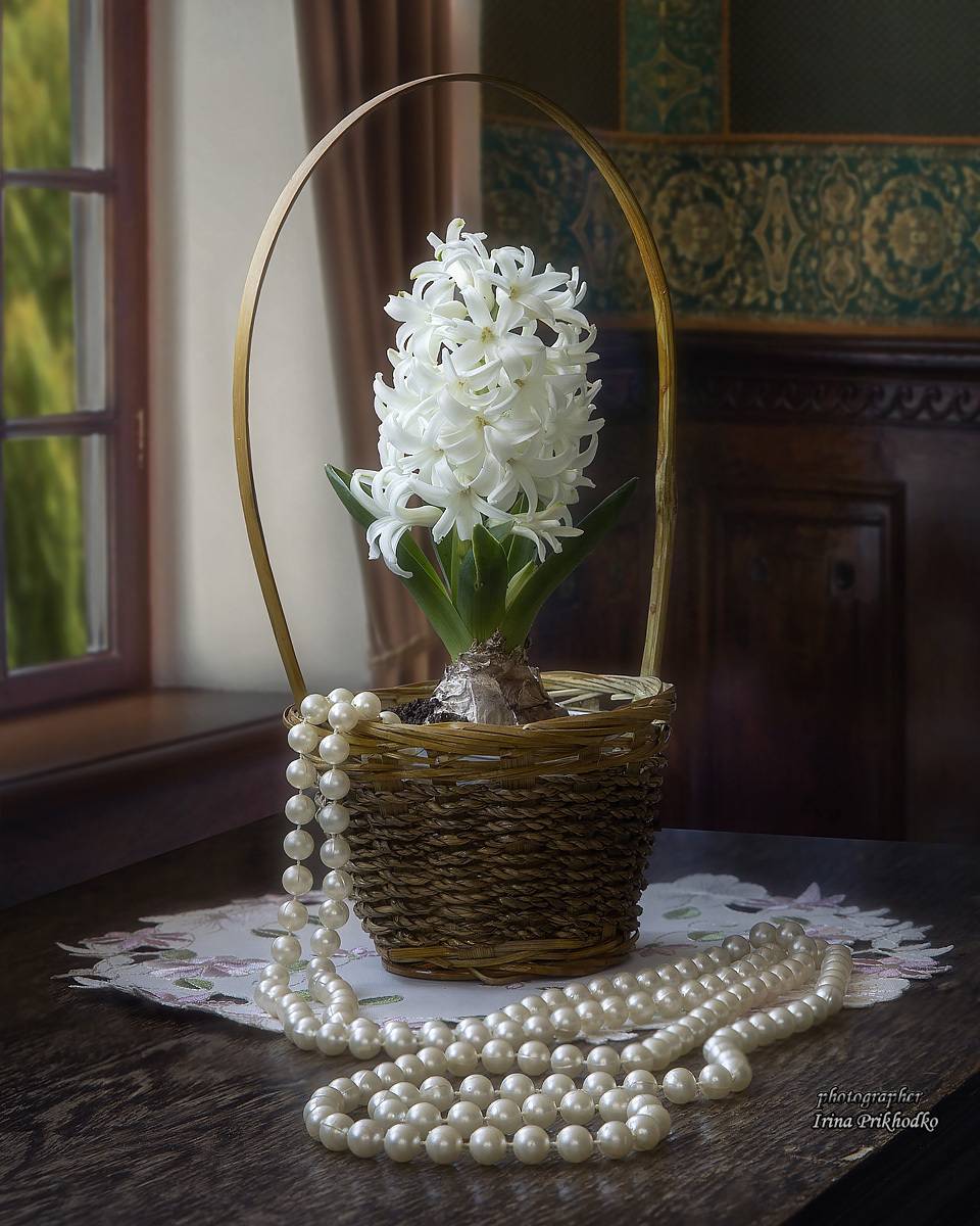 натюрморт, цветы, интерьер, гиацинт, Приходько Ирина