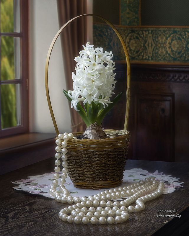 натюрморт, цветы, интерьер, гиацинт Аромат весны фото превью