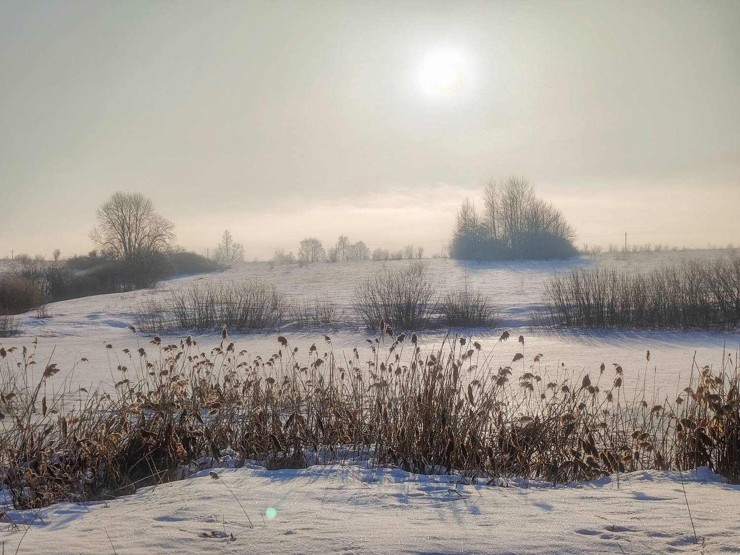 , Кондрашова Светлана